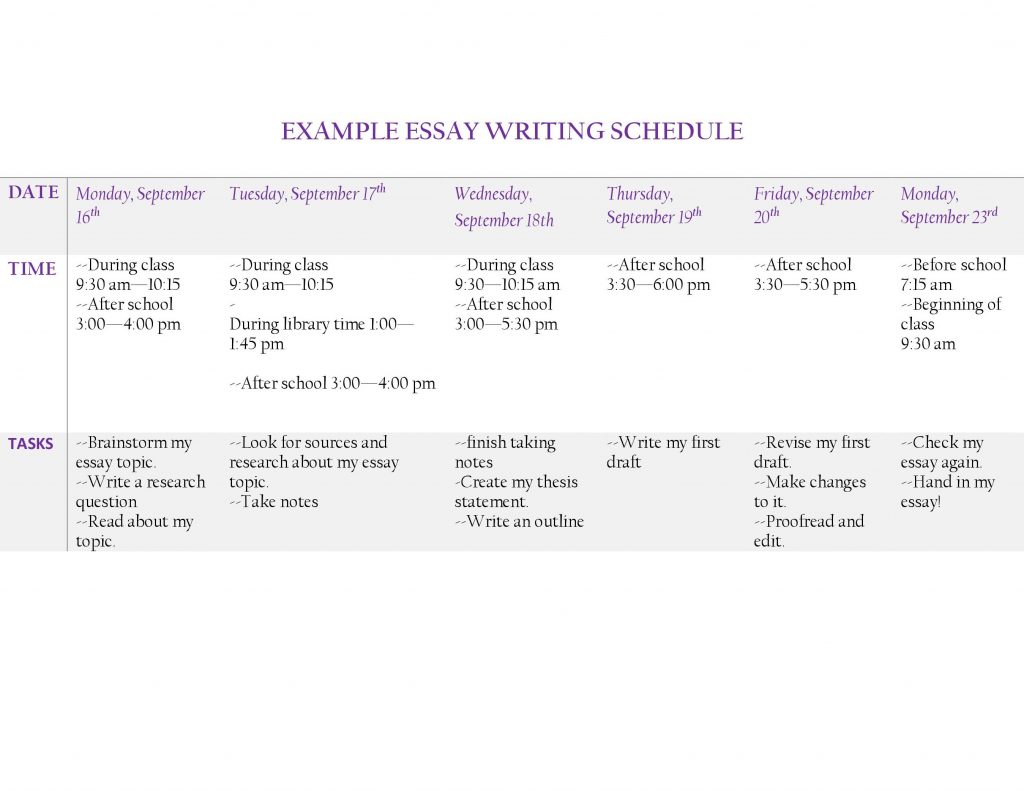Example Essay Writing Schedule